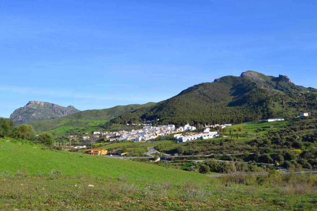 מונטקורטו Villa La Roca - A Fusion Of Modern And Typical Andalucian Architecture מראה חיצוני תמונה